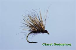 Sedgehog Claret